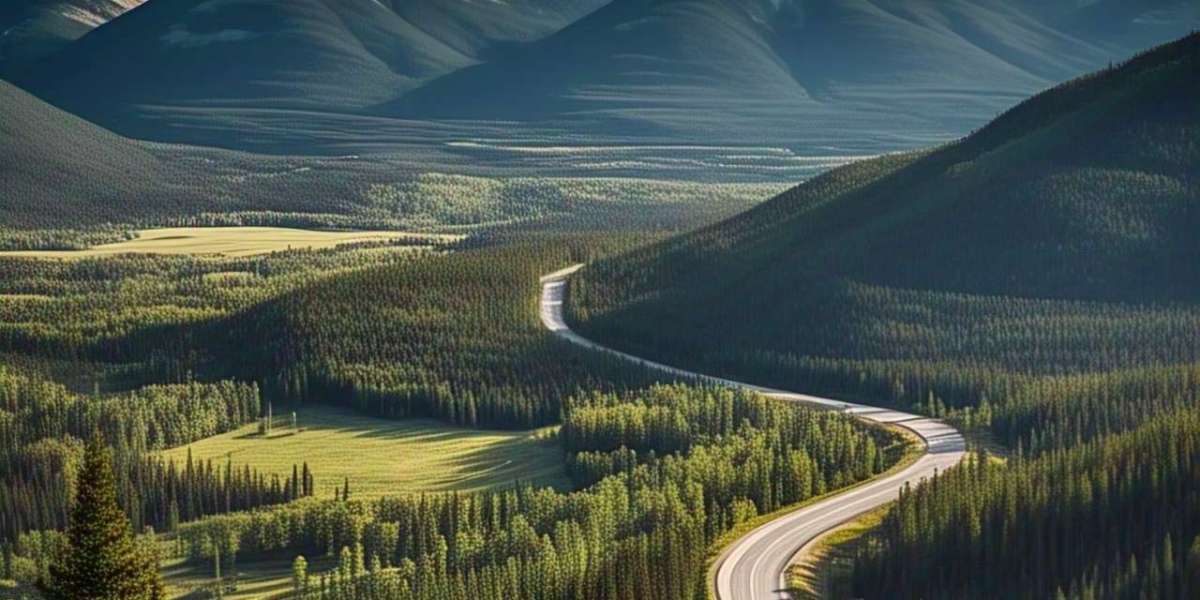 Discovering the Gateway to the Rockies: A Complete Travel Guide from Calgary to Canmore