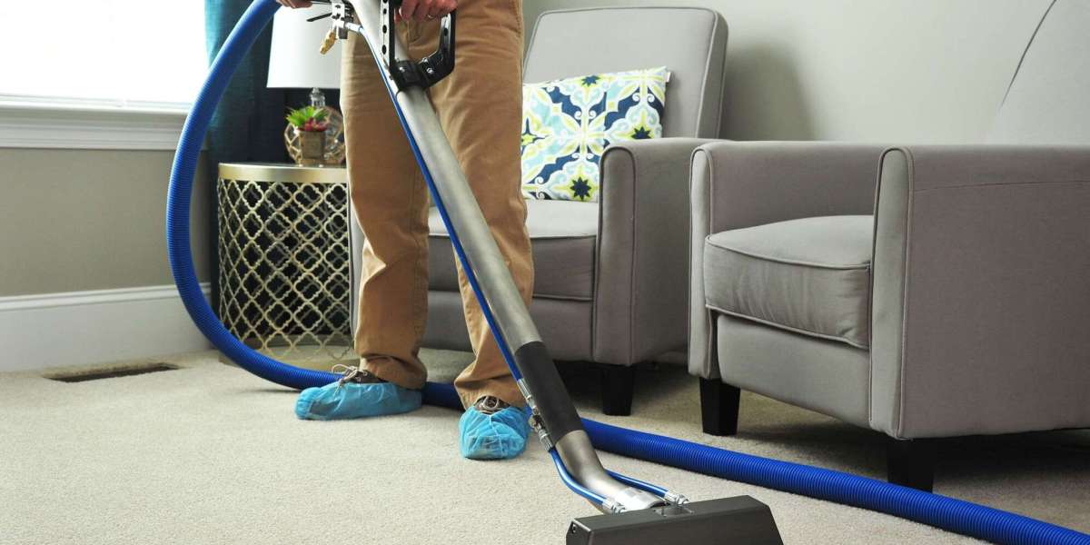 Comprehensive Study Report on Carpet Cleaning: Techniques, Benefits, and Best Practices