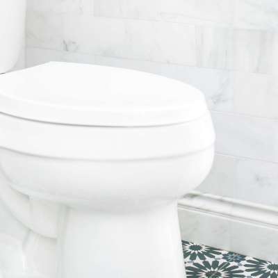 Upgrade Your Bathroom with TOTO Drake Toilet Profile Picture