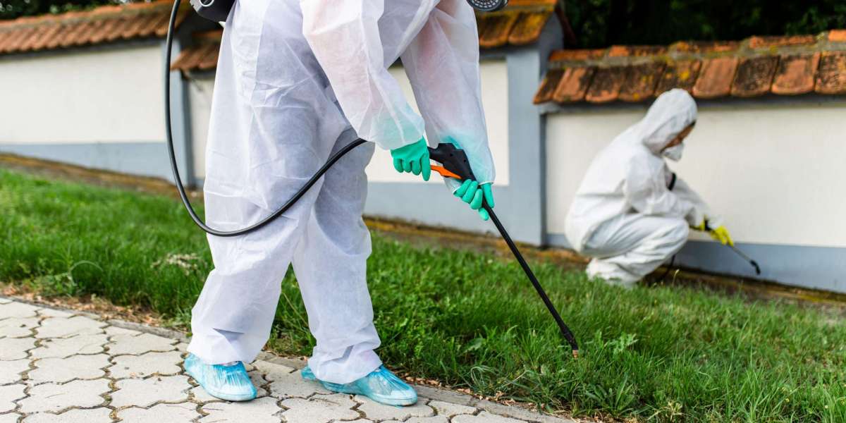 When Local Skills Turn Pest Problems into Peace of Mind